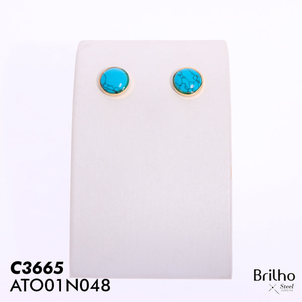ATO01N048 TOPO