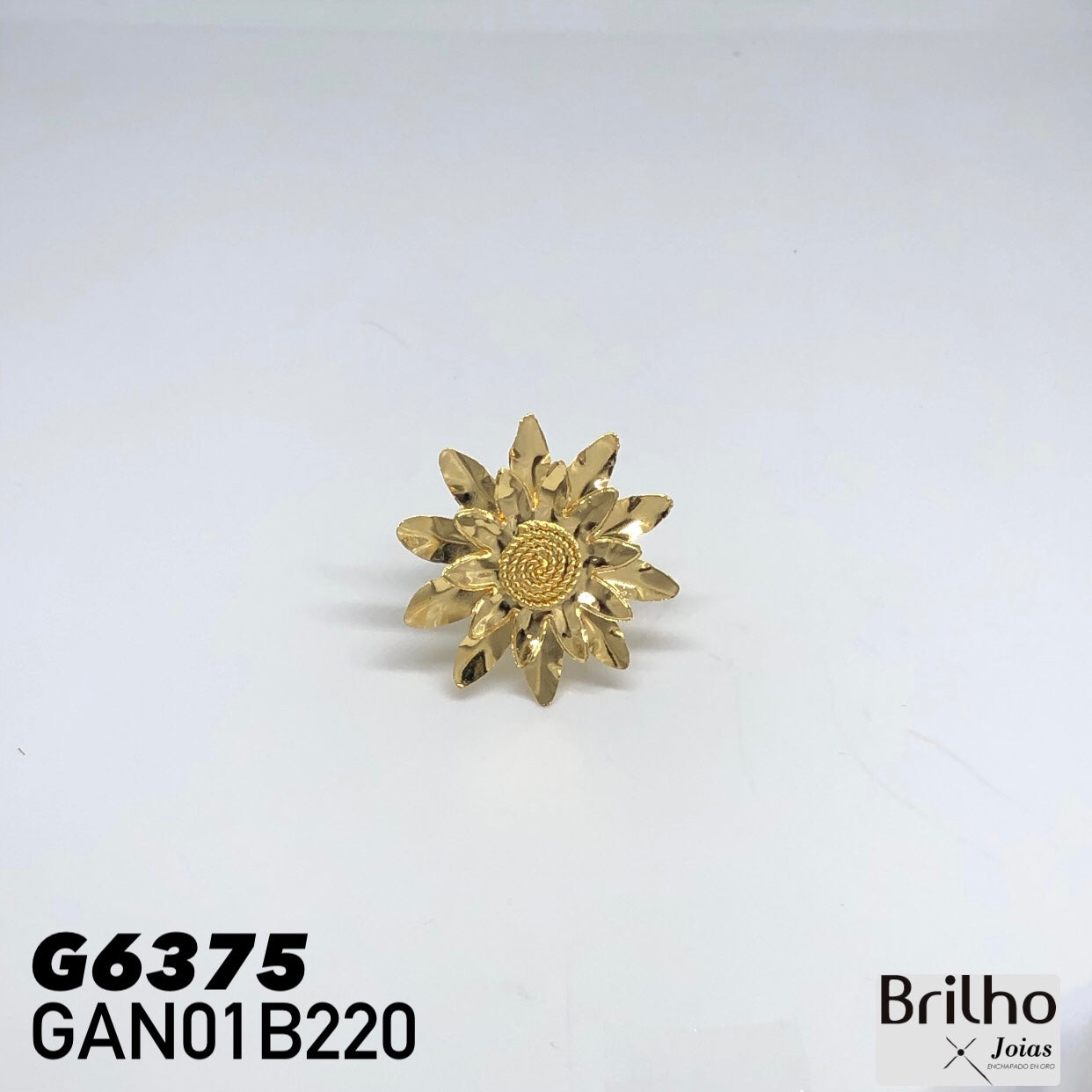 GAN01B220 ANILLO