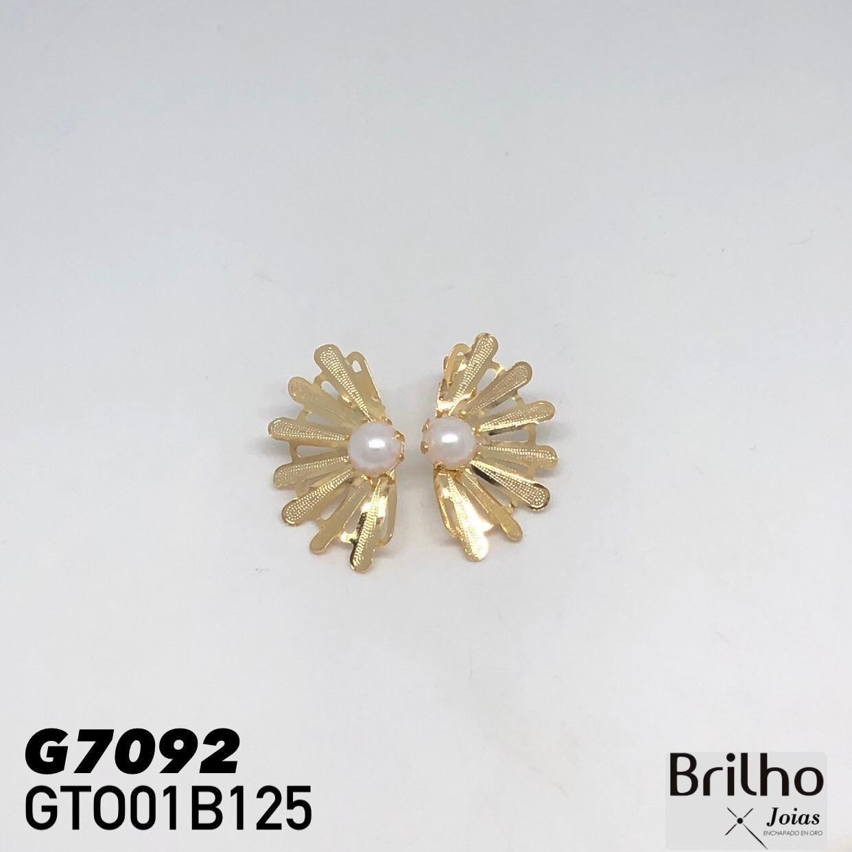 GTO01B125 TOPO