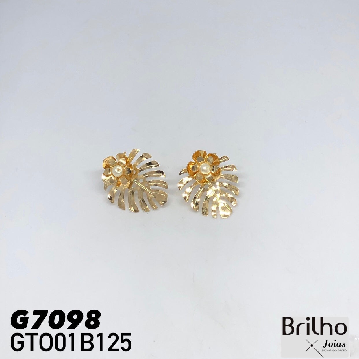 GTO01B125 TOPO