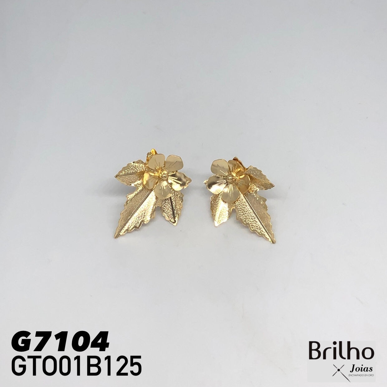 GTO01B125 TOPO