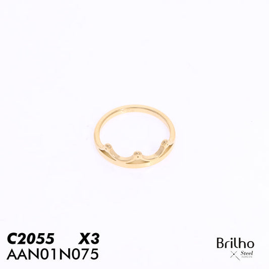 AAN01N075 ANILLO PQX3