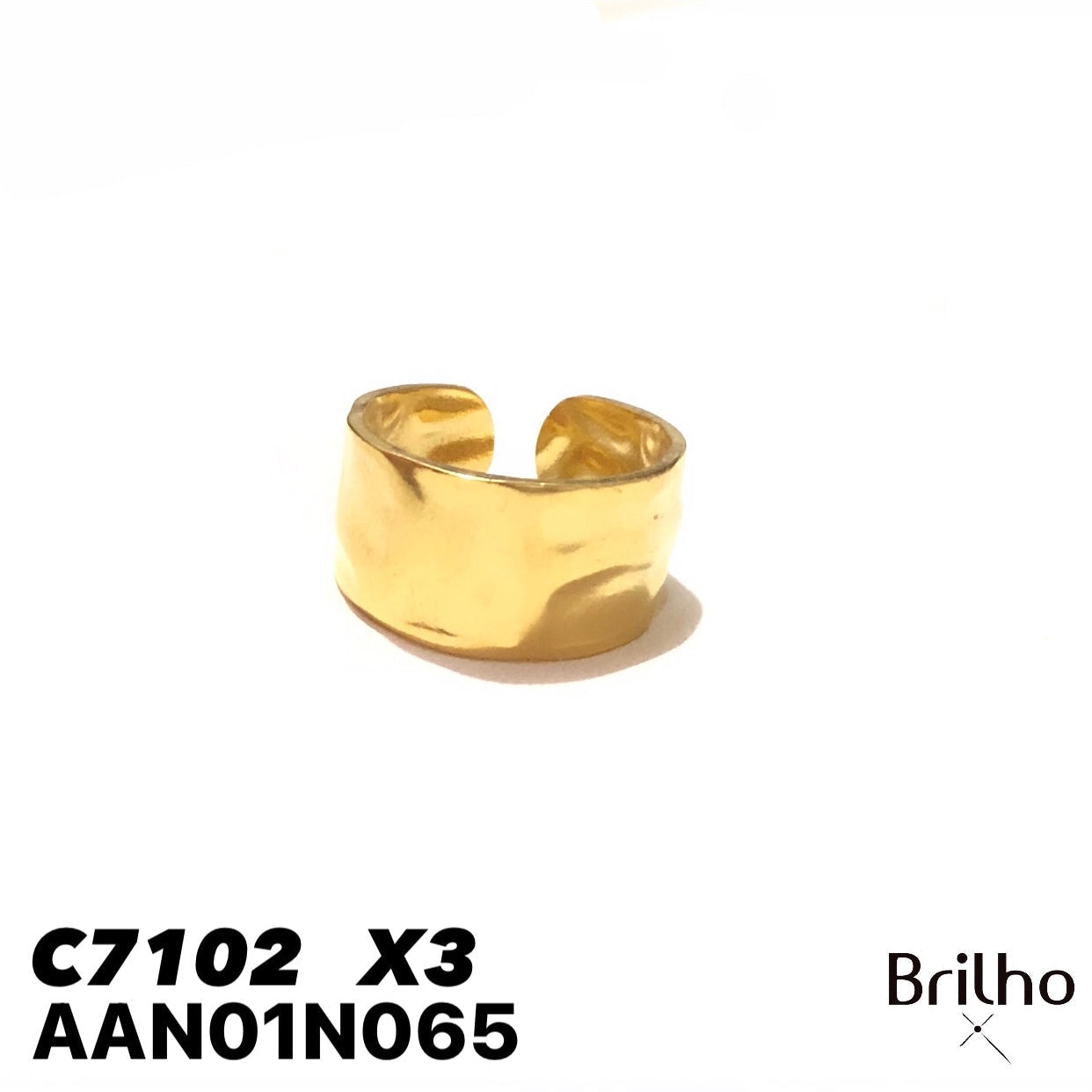 AAN01N065 ANILLO  PQX3
