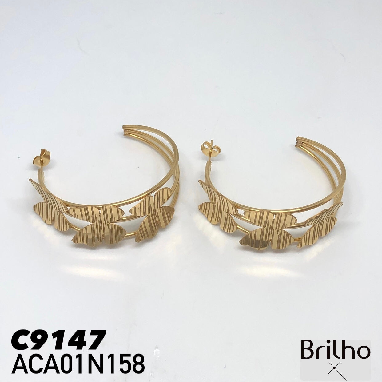 ACA01N158 CANDONGA