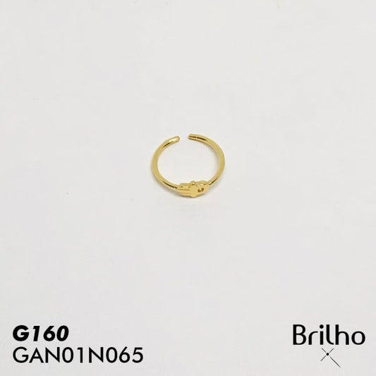 GAN01N065 ANILLO