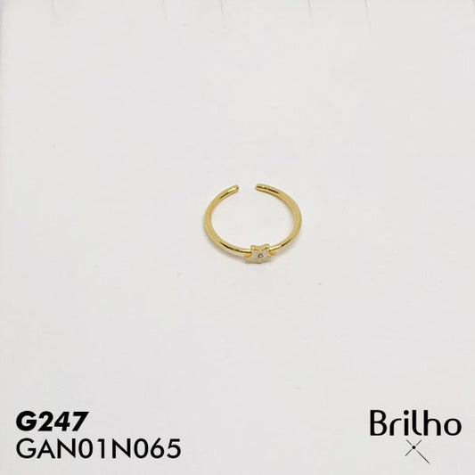 GAN01N065 ANILLO