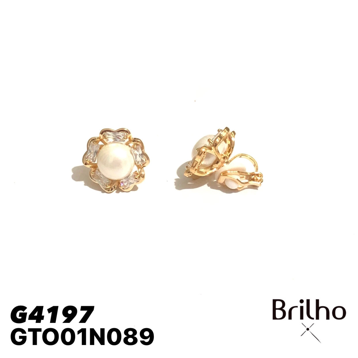 GTO01N089 TOPO