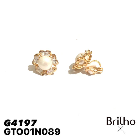 GTO01N089 TOPO
