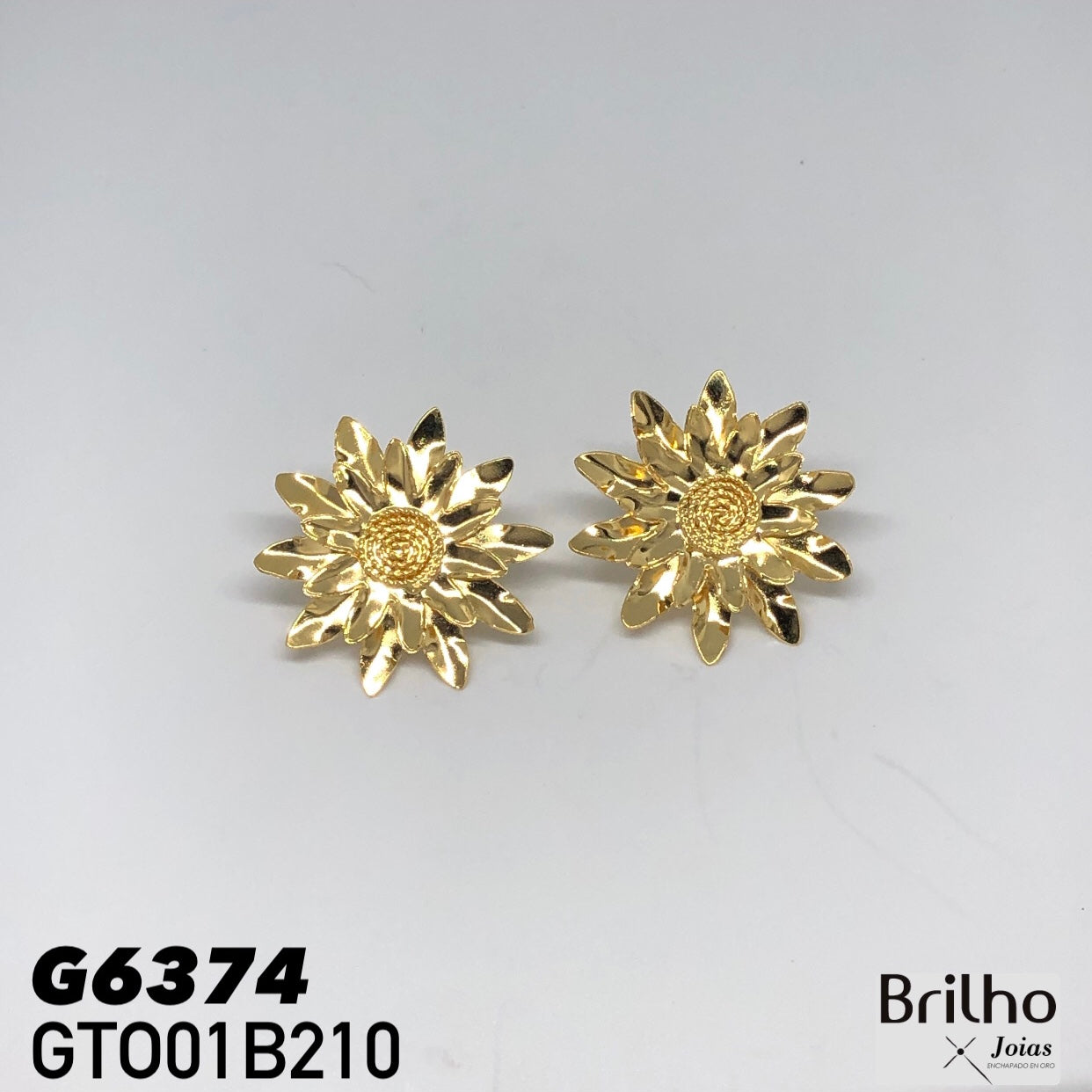 GTO01B210 TOPO
