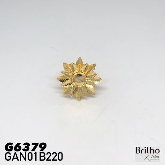 GAN01B220 ANILLO
