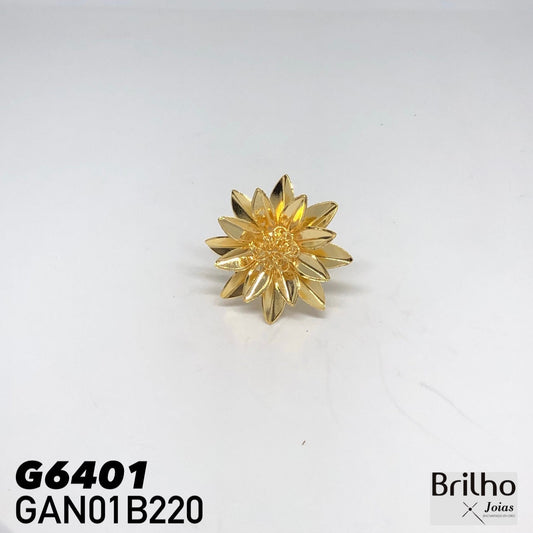 GAN01B220 ANILLO