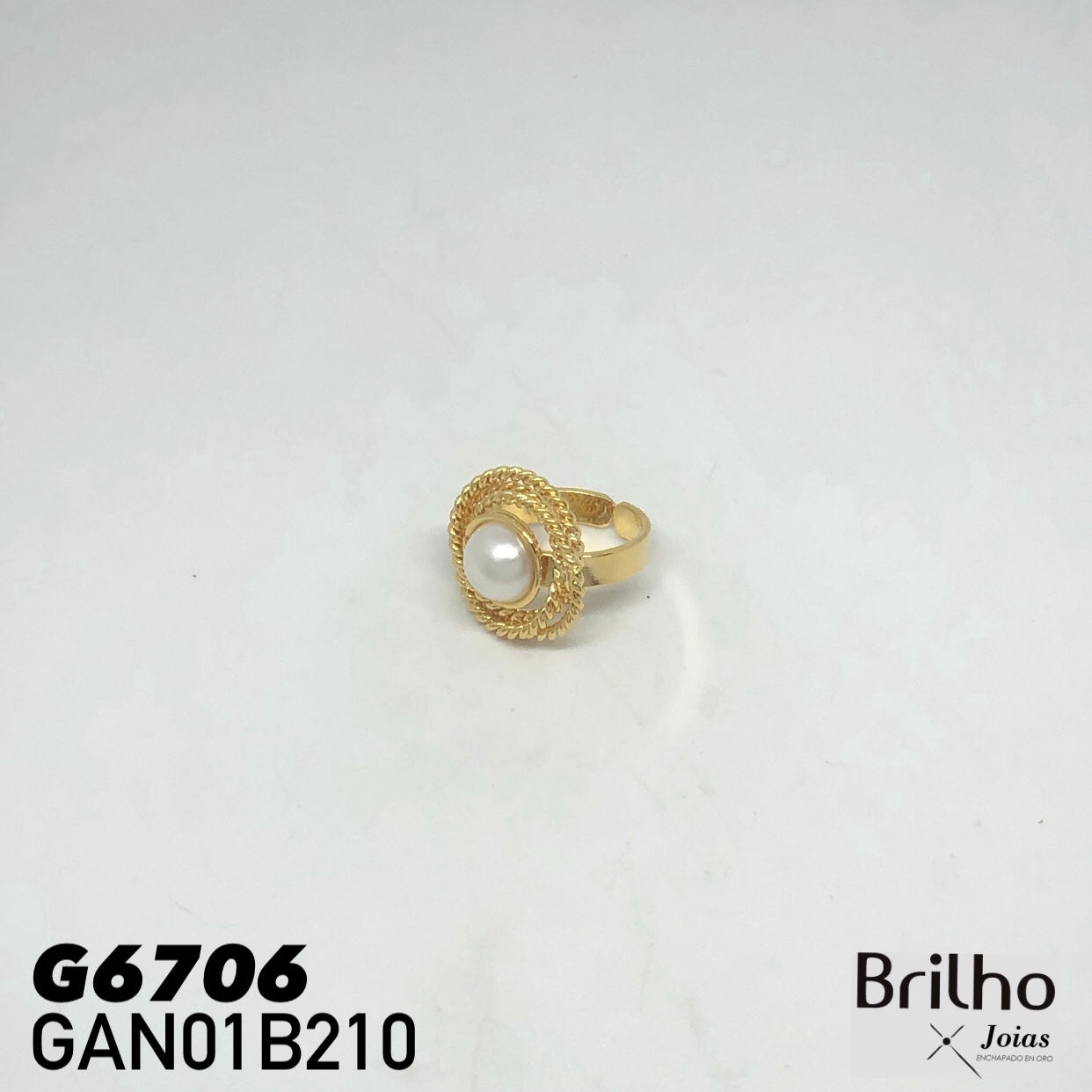 GAN01B210 ANILLO