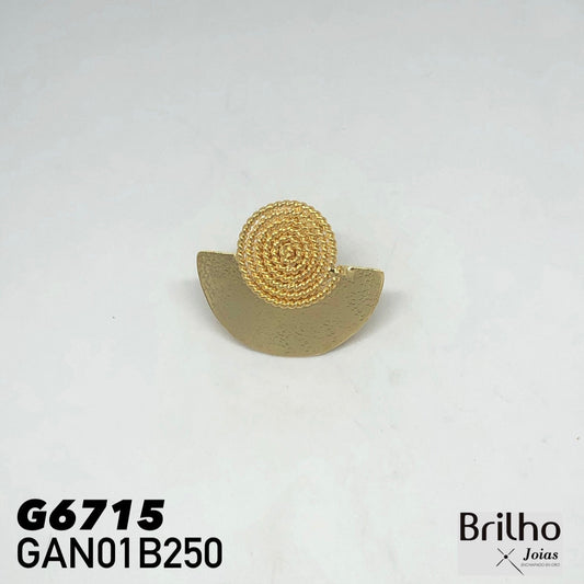 GAN01B250 ANILLO
