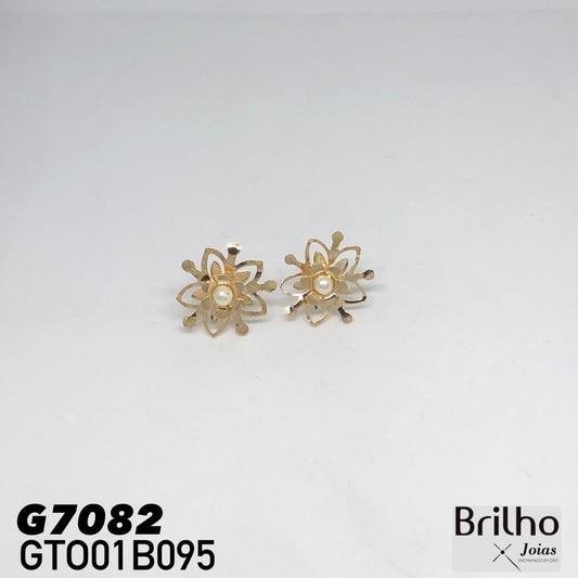 GTO01B095 TOPO