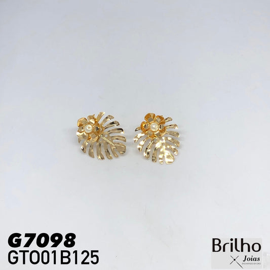 GTO01B125 TOPO