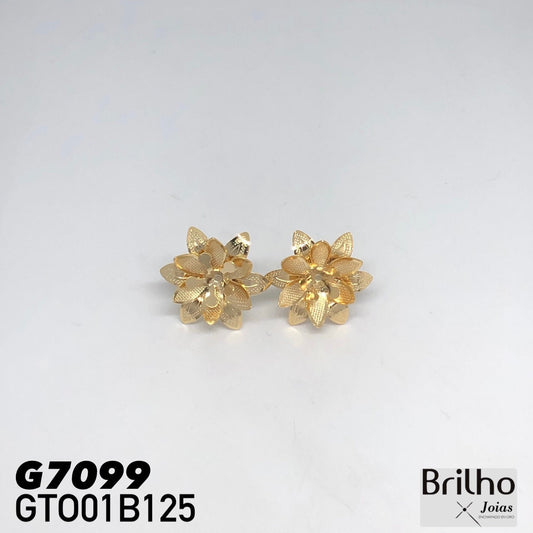 GTO01B125 TOPO
