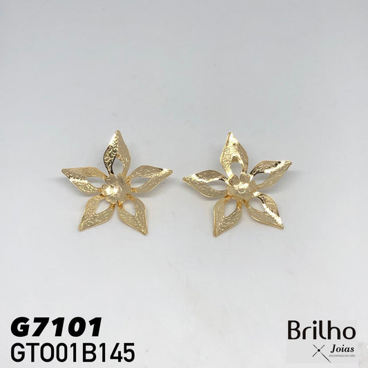 GTO01B145 TOPO