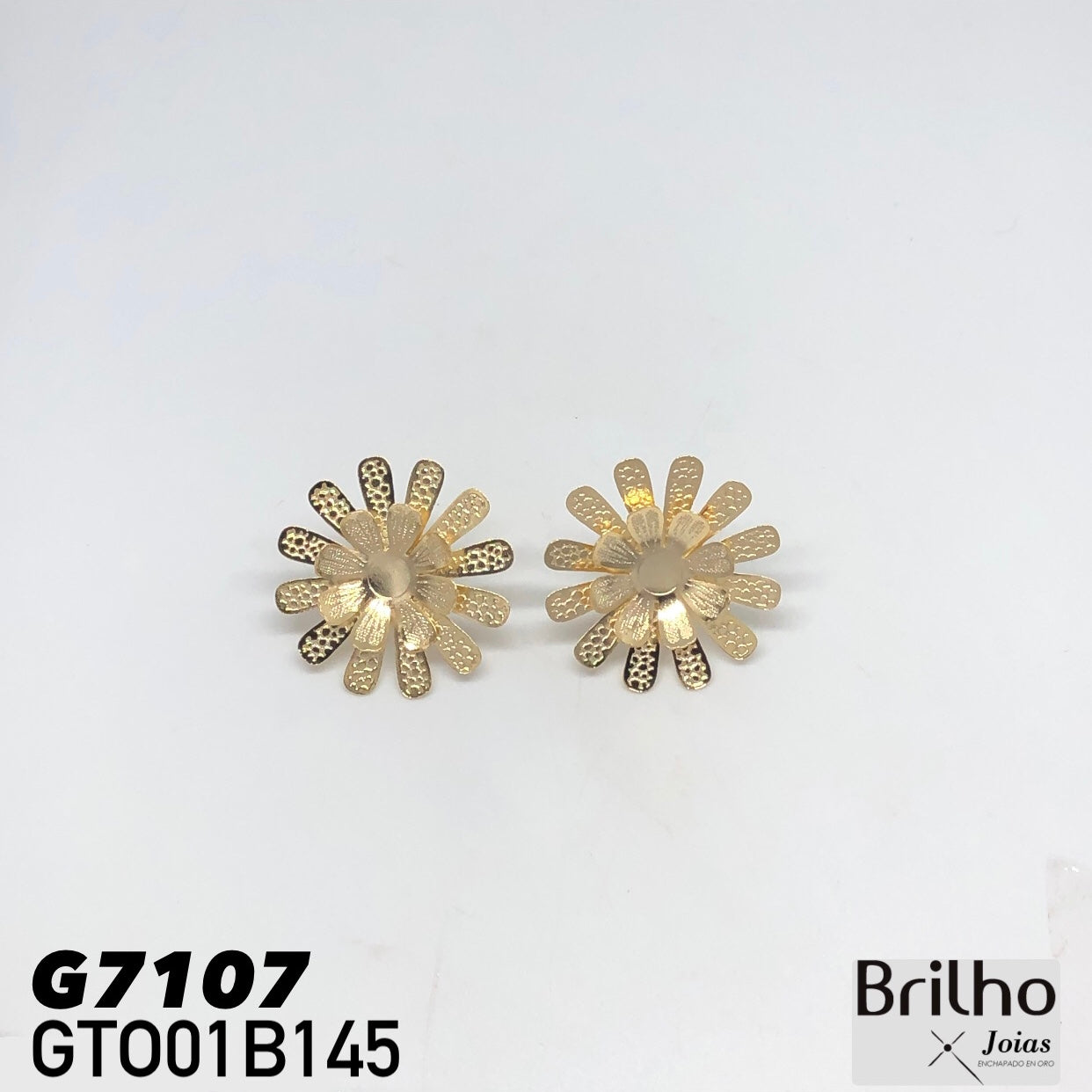 GTO01B145 TOPO