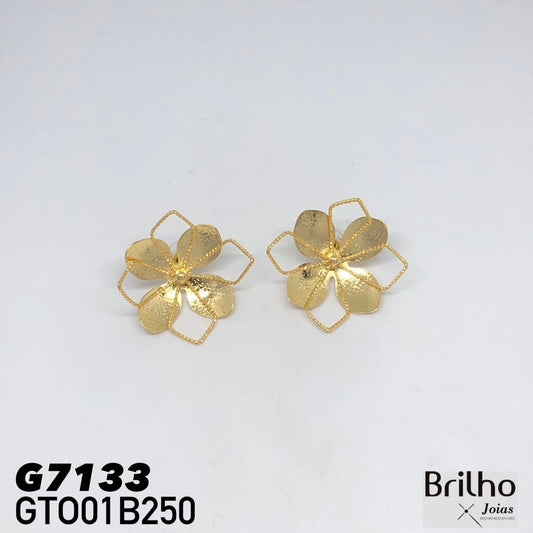 GTO01B250 TOPO