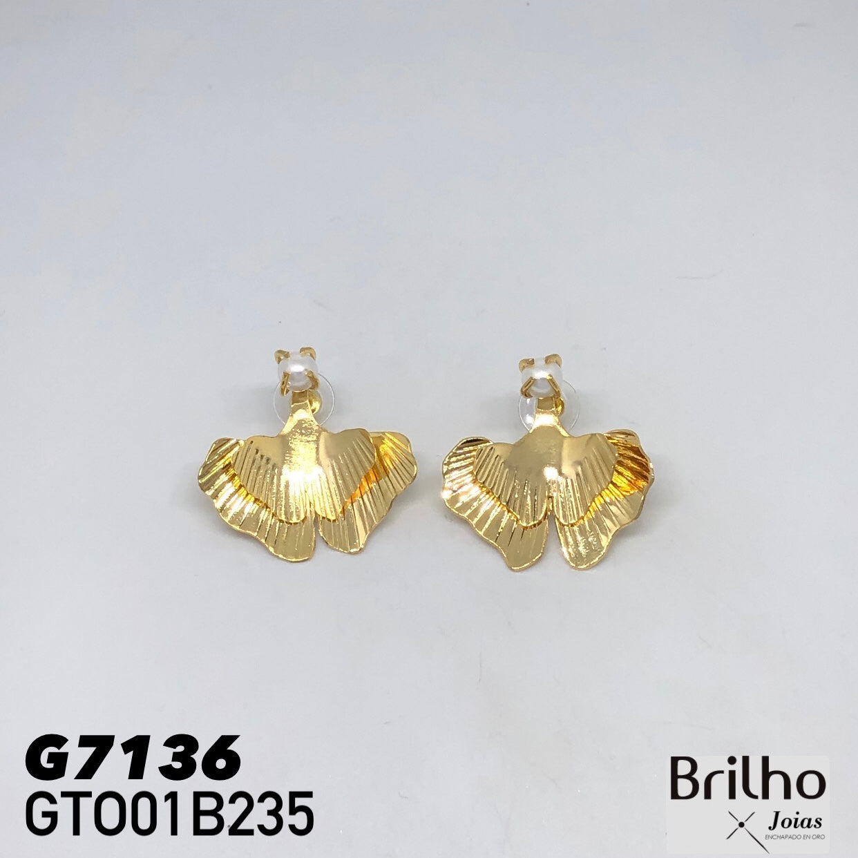 GTO01B235 TOPO