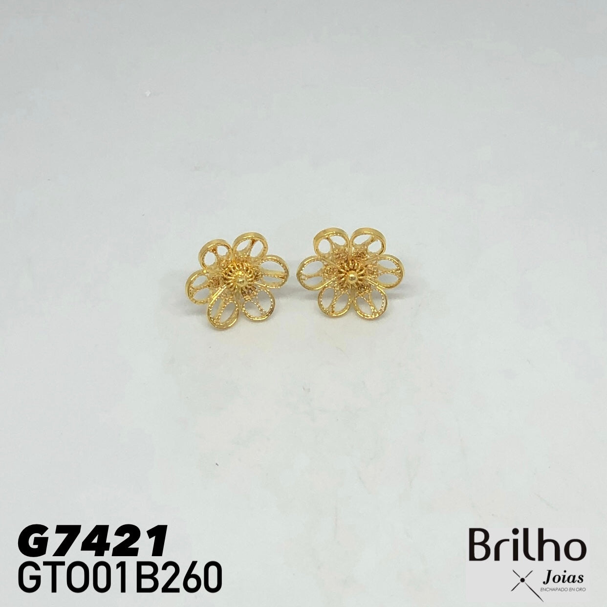 GTO01B260 TOPO